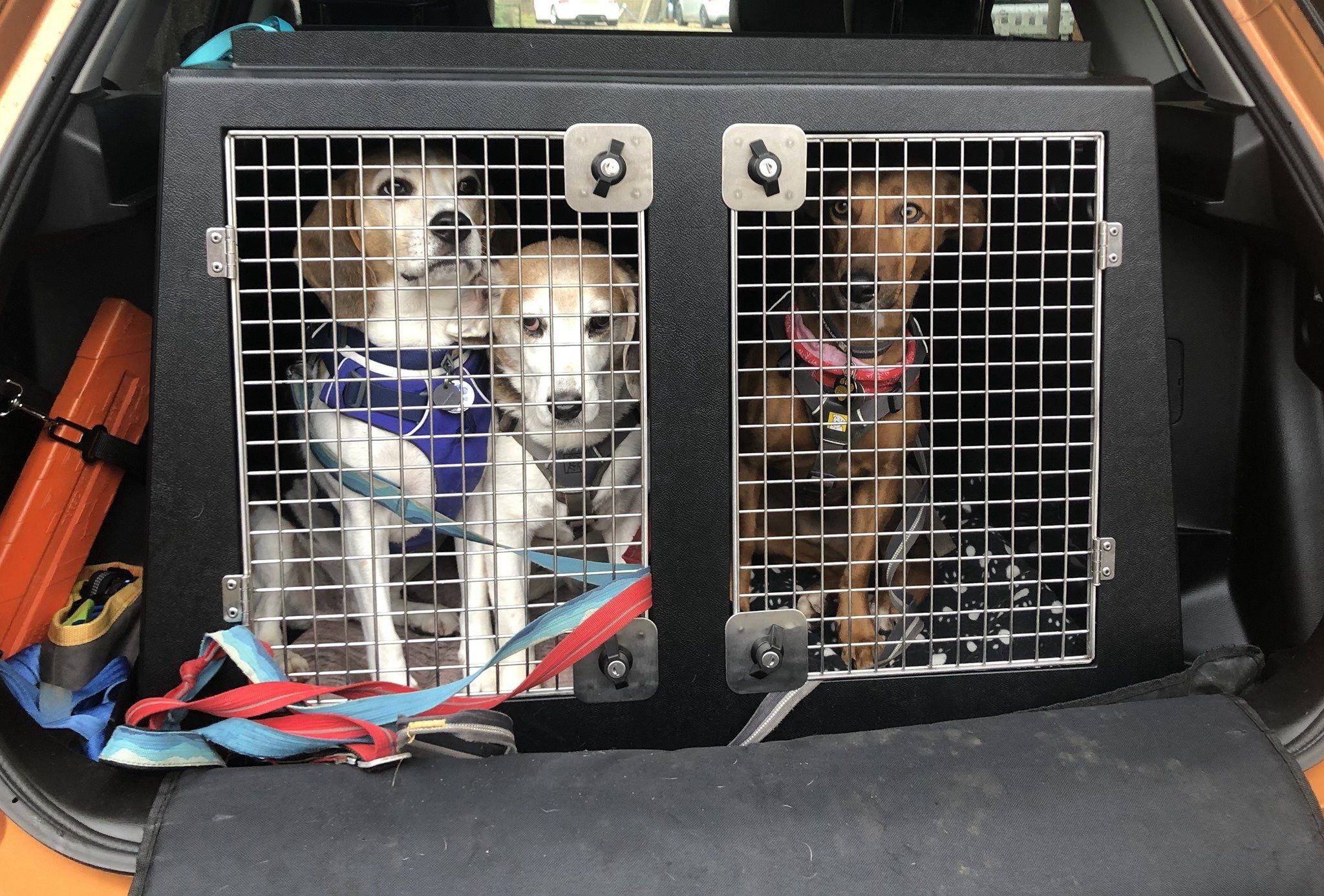 Dog Car Crate for a Suzuki Vitara DT Box Made In The UK — DT BOXES
