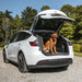 Tesla Model Y | Dog Travel Crate DT Box DT BOXES 