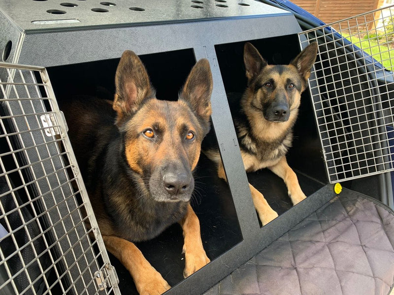 Tesla Model Y | Dog Travel Crate DT Box DT BOXES 