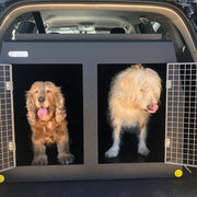 Toyota RAV4 (2013 - 2019) Dog Car Travel Crate- The DT 5 DT Box DT BOXES 