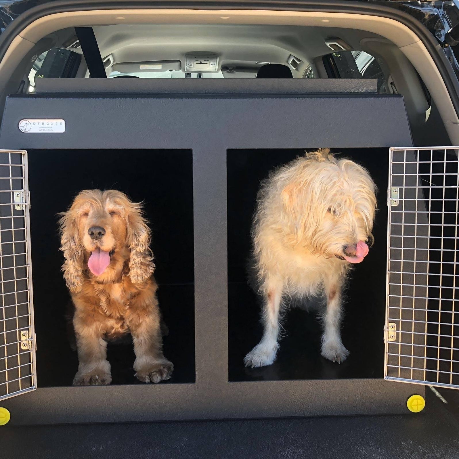 Dog Car Crate For Toyota RAV4 — DT BOXES