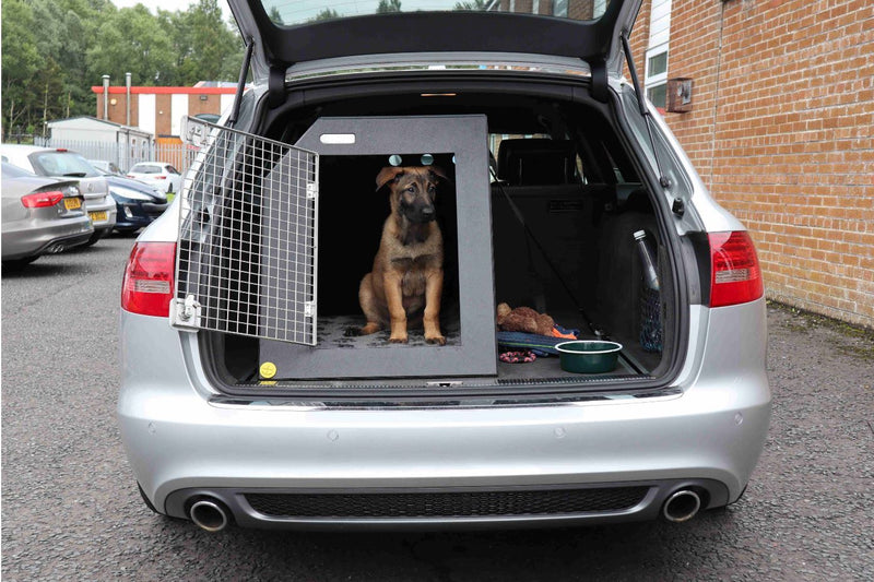 Vauxhall Insignia (2017 - Onwards) DT Box Dog Car Travel Crate - The DT 2 DT Box DT BOXES 