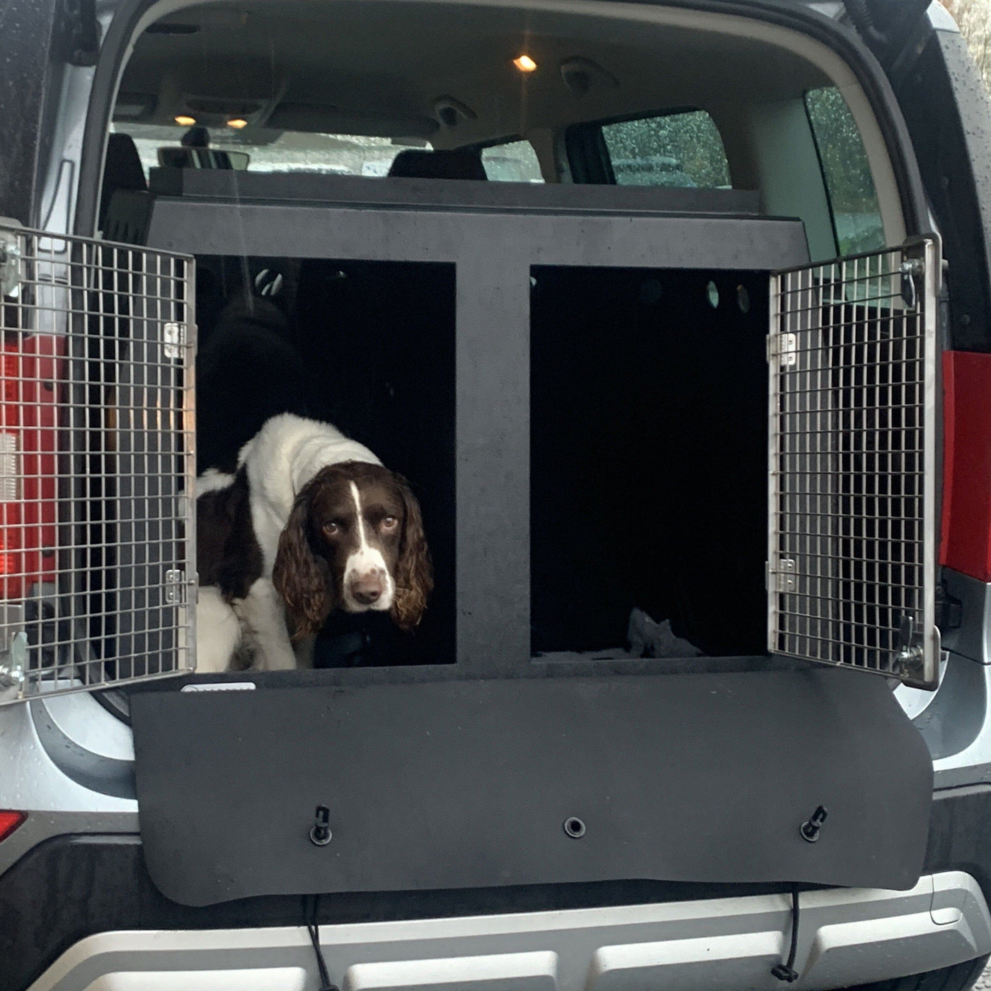 Volkswagen Tiguan 2021Present Lowered Boot Dog Travel Box — DT BOXES