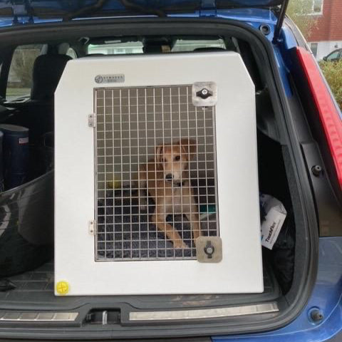 Volvo XC40 (2019 - Present) Dog Car Travel Crate- DT Box DT Box DT BOXES 